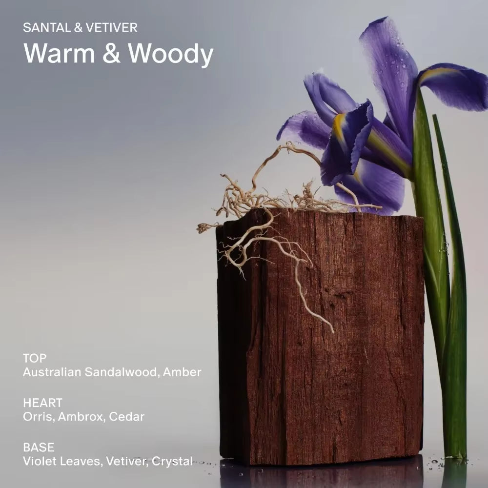 Salt & Stone Body Mist Perfume Fragrance 3.4 Fl Oz Perfume High Quality Brand Perfume for Men for Women Holiday Gifts